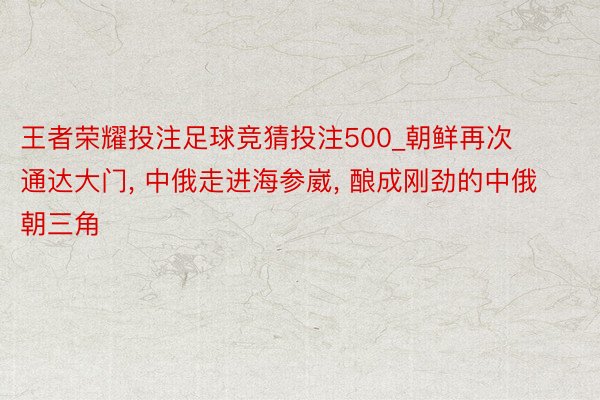 王者荣耀投注足球竞猜投注500_朝鲜再次通达大门, 中俄走进海参崴, 酿成刚劲的中俄朝三角