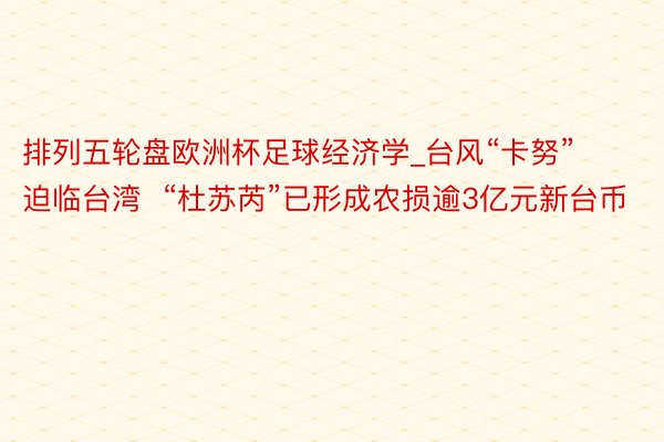 排列五轮盘欧洲杯足球经济学_台风“卡努”迫临台湾  “杜苏芮”已形成农损逾3亿元新台币