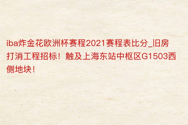 iba炸金花欧洲杯赛程2021赛程表比分_旧房打消工程招标！触及上海东站中枢区G1503西侧地块！