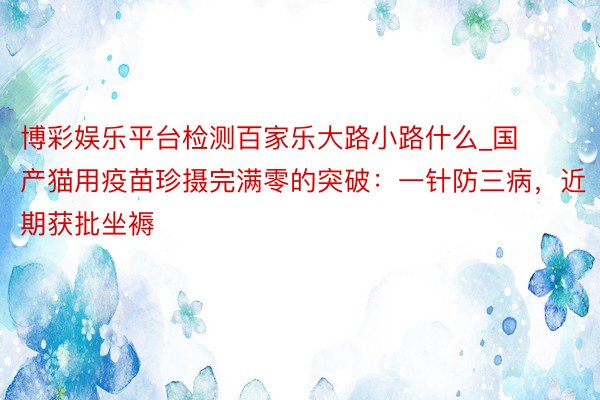 博彩娱乐平台检测百家乐大路小路什么_国产猫用疫苗珍摄完满零的突破：一针防三病，近期获批坐褥